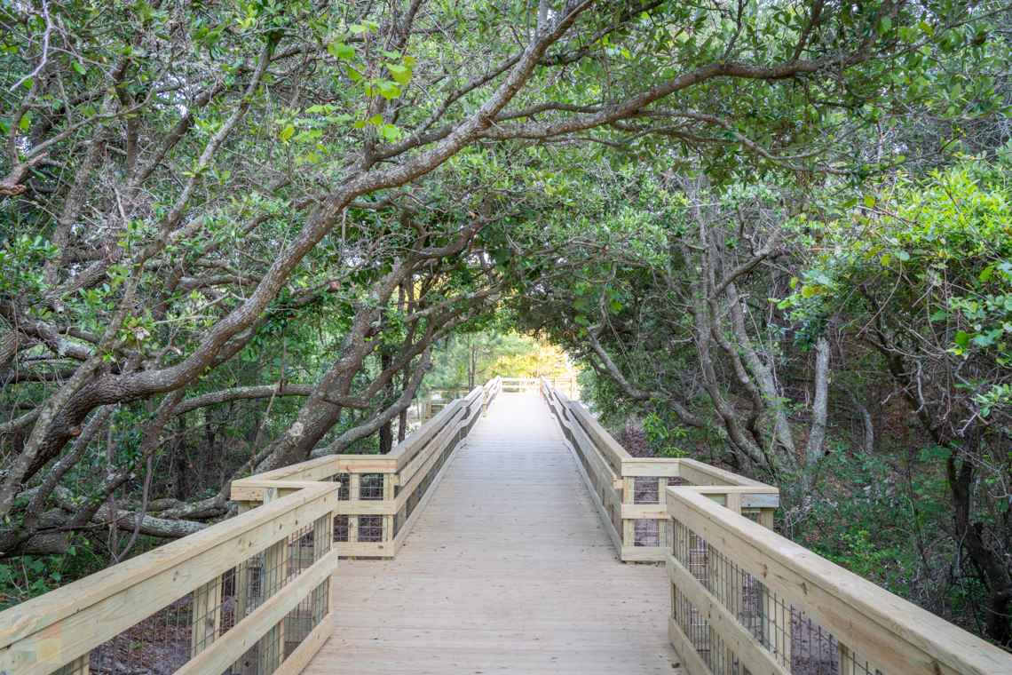 Jockeys Ridge State Park