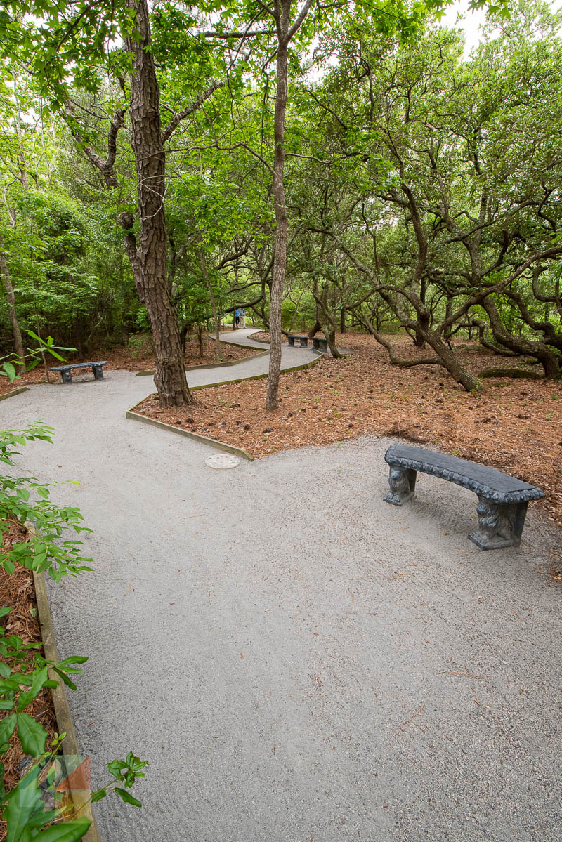 Outer Banks Arboretum and Teaching Garden