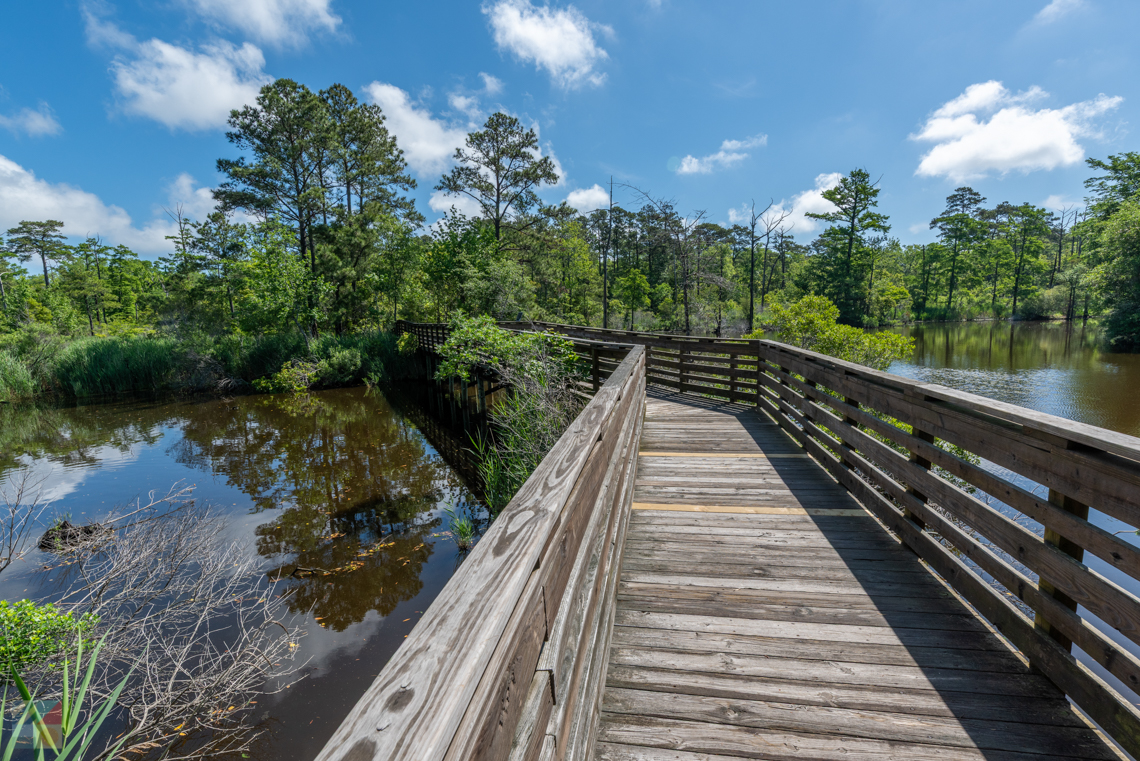 Sandy Run Park