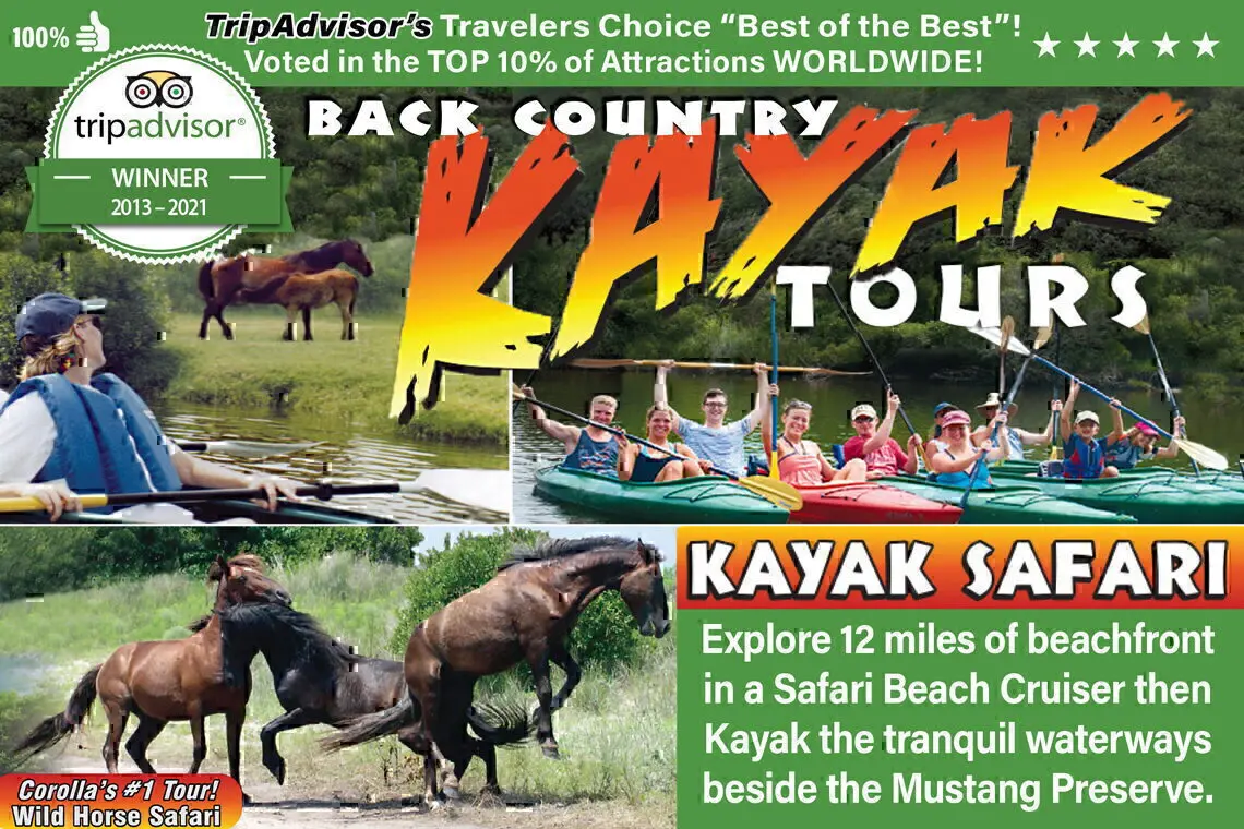 Back Country Safari Kayak Tours