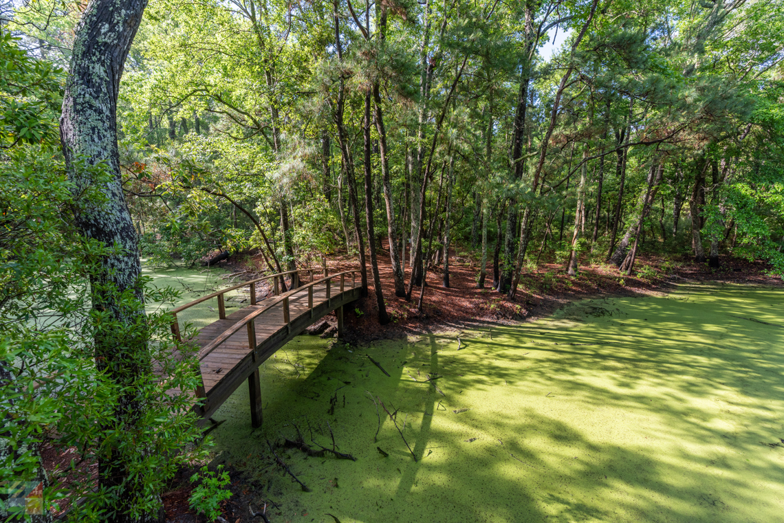 Nags Head Woods Ecological Preserve