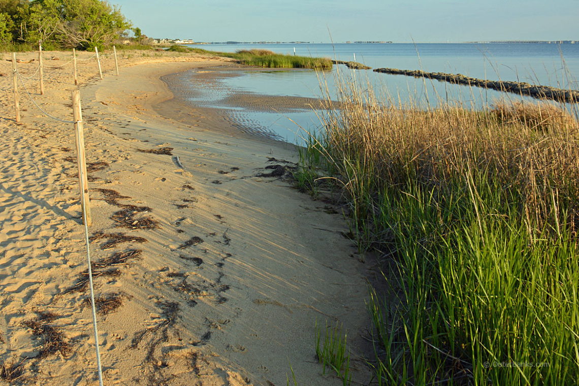 Nags Head Woods Ecological Preserve
