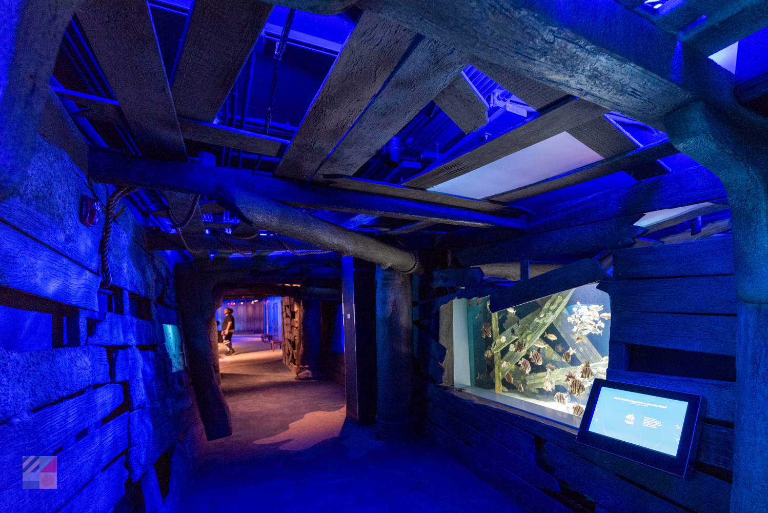 NC Aquarium Roanoke Island